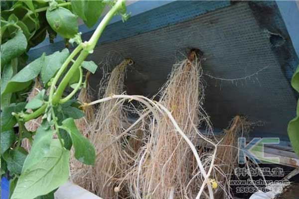 無(wú)土栽培，無(wú)土栽培技術(shù)，無(wú)土栽培設備